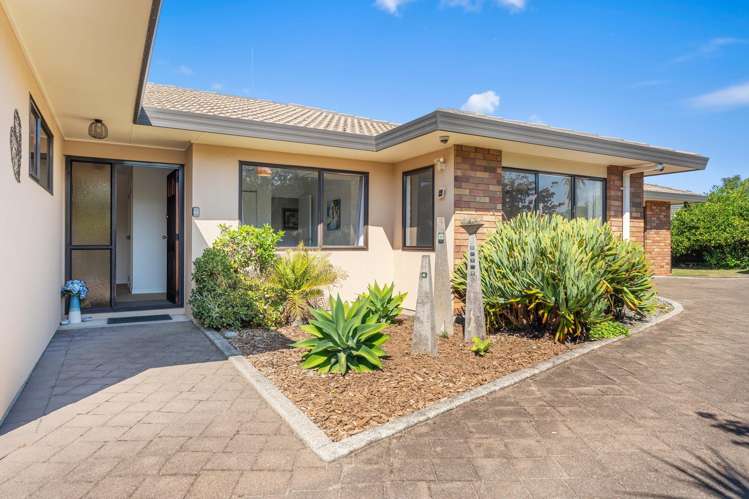 28 Hibiscus Avenue Mount Maunganui_22
