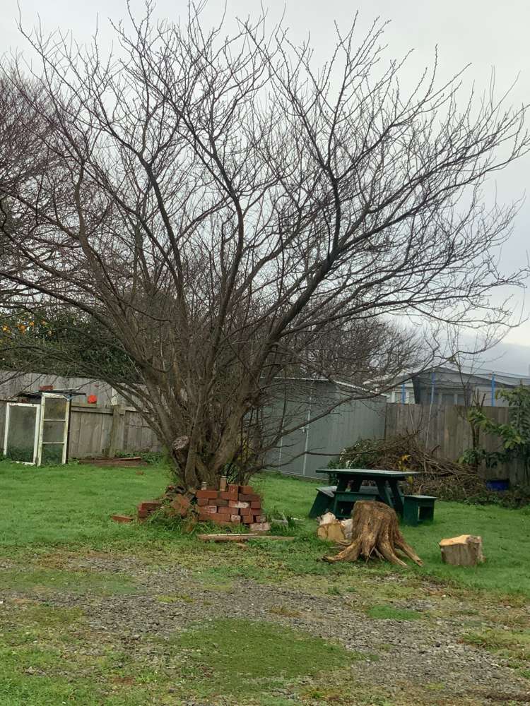 5a Dudley Street Levin_10