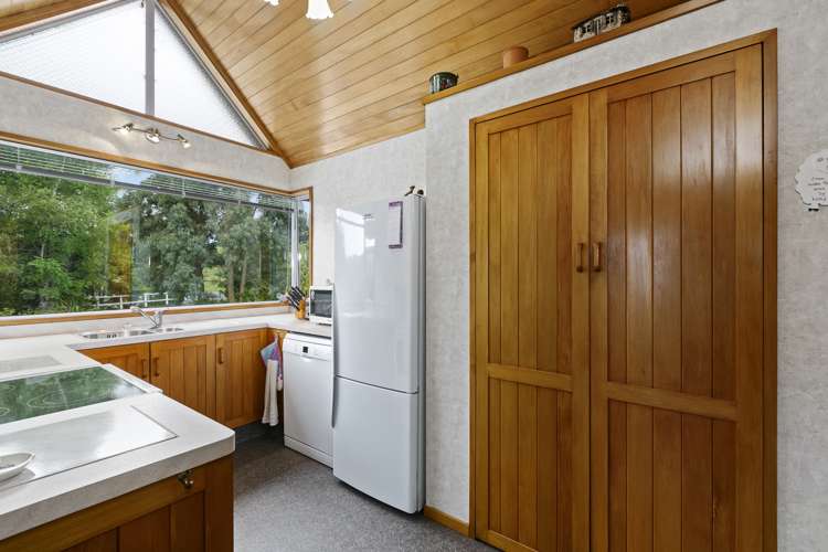 50 Burgess Street Green Island_9