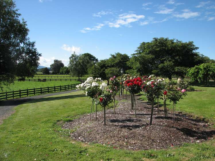 305 Taihoa South Road Matamata_20