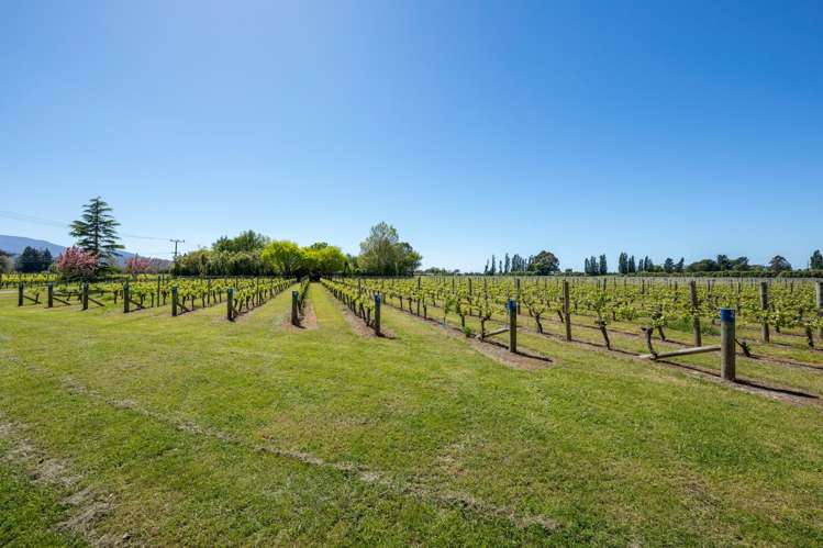 132 Murrays Road Spring Creek_27