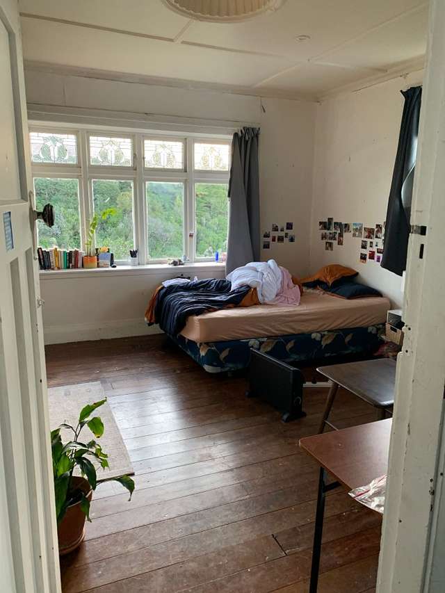 53 Durham Street Aro Valley_2