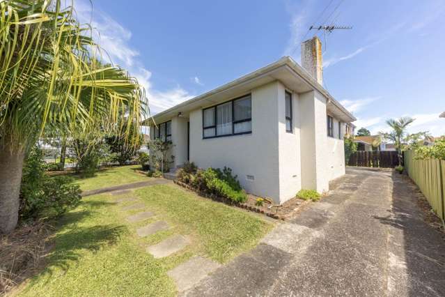 537 Richardson Road Mount Roskill_3