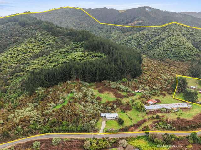303 Cogswell Road Raglan_3