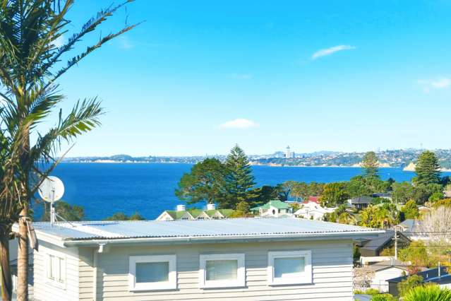 35 B&C Toroa Street Torbay_2