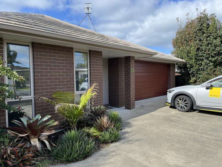 365 One Tree Point Road One Tree Point_15