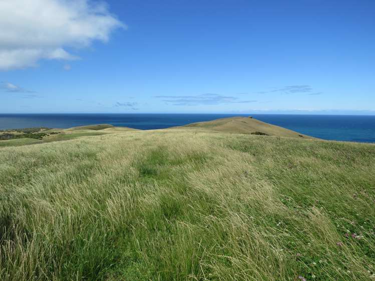 15 Bell Road Taumarunui_15