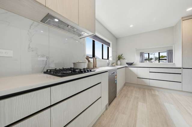 81 Melrose Road Mt Roskill_4