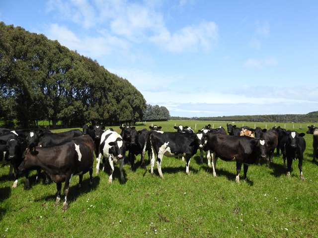 692 Papatotara Road Tuatapere_4