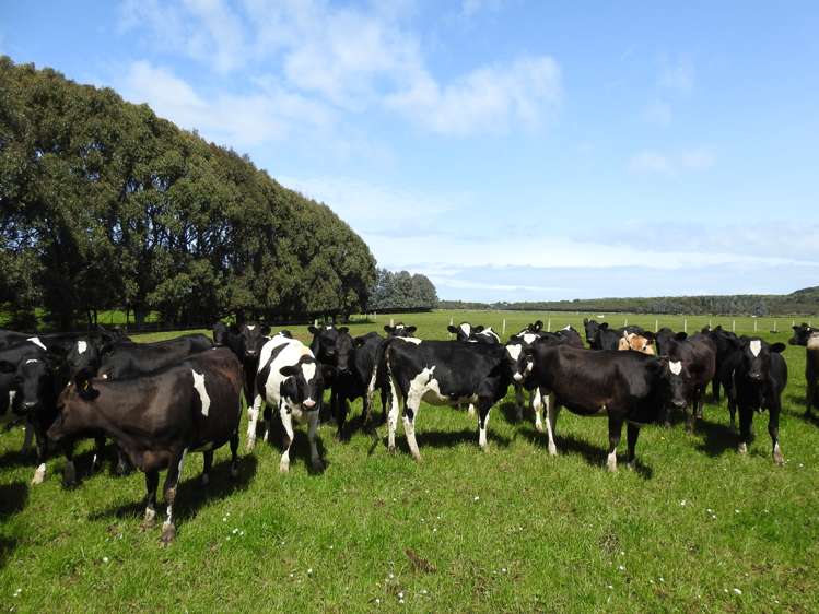 692 Papatotara Road Tuatapere_4