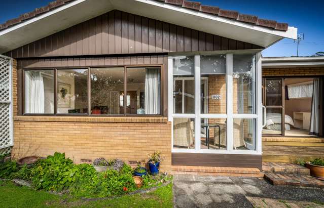 802 Dominion Road - Birdsong Lane Mt Eden_3