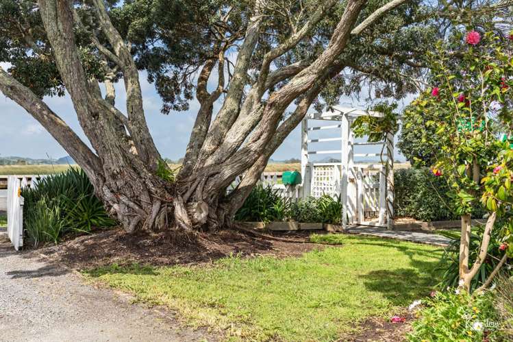 61 River Road Dargaville_7