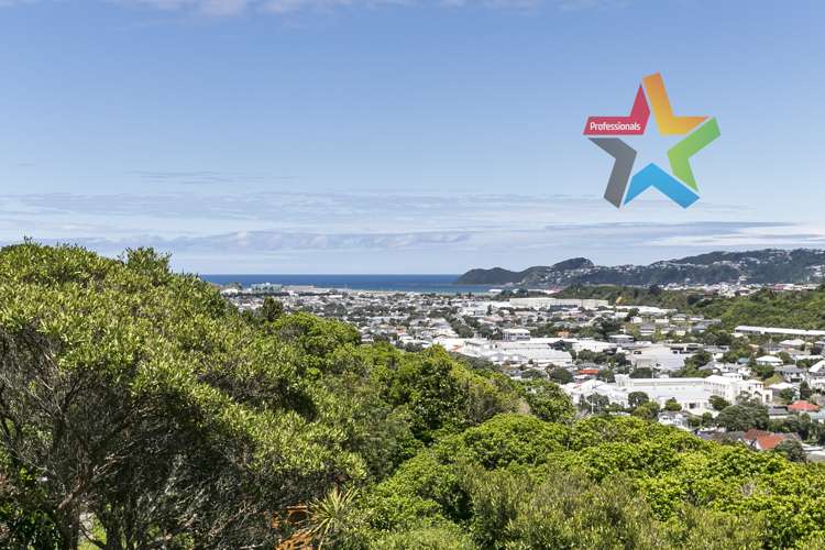 153 Nevay Road Miramar_12