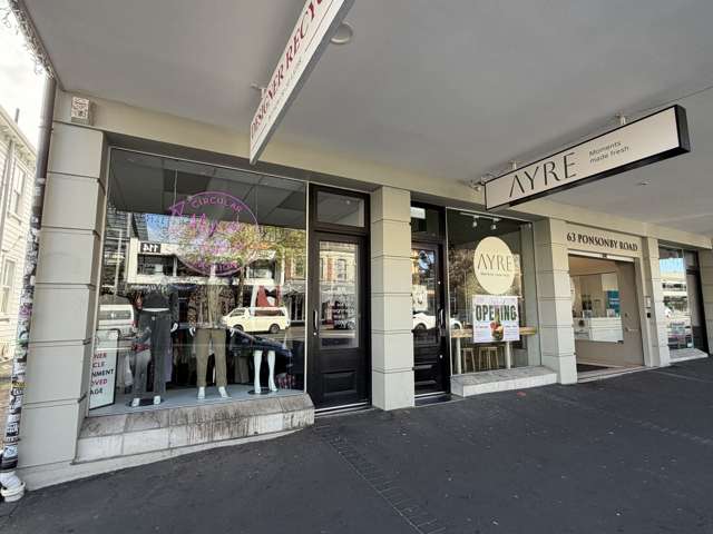Unit 4/63 Ponsonby Road Ponsonby_2