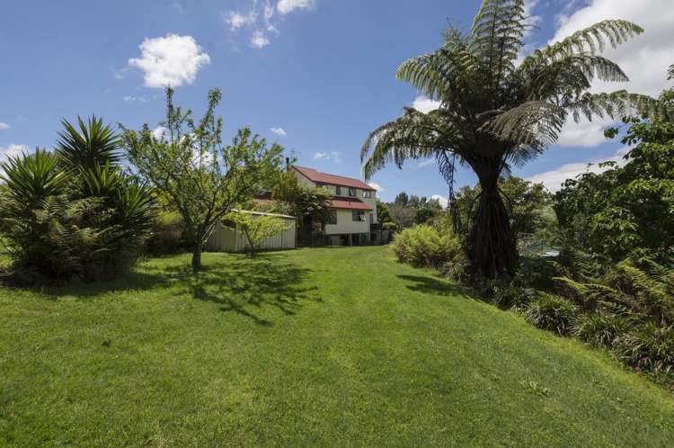 263a Ruahihi Road Kaimai_10