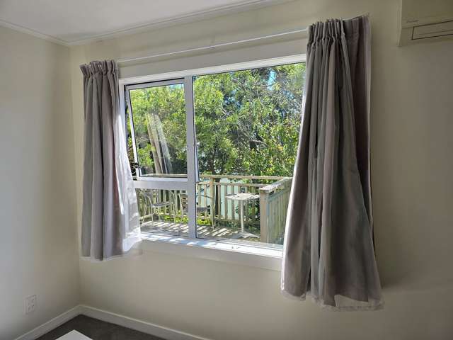 49A Milne Terrace Island Bay_1