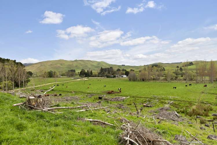 273 Mikimiki Road Mikimiki_6