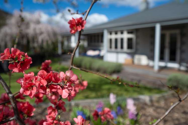 29 Hazlett Street Clyde_4