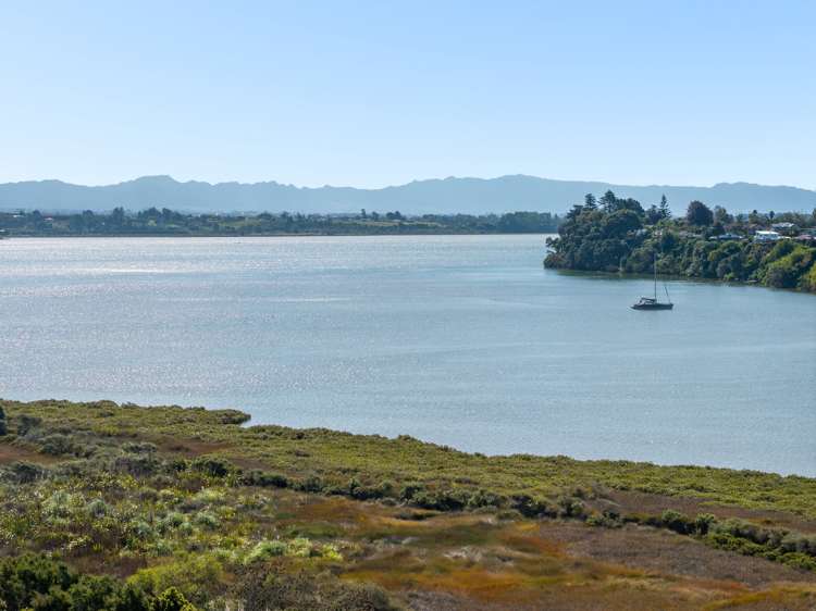 28b Margaret Road Bellevue_5