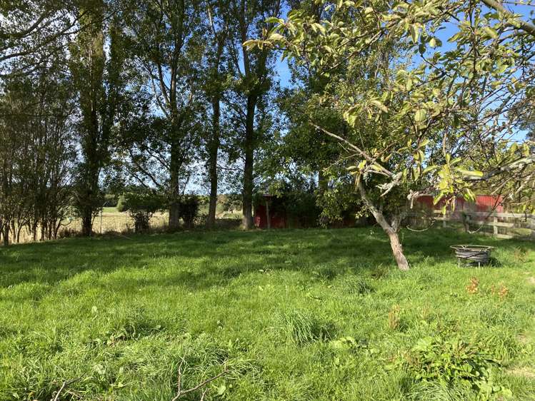 93a Stafford Street Shannon_11