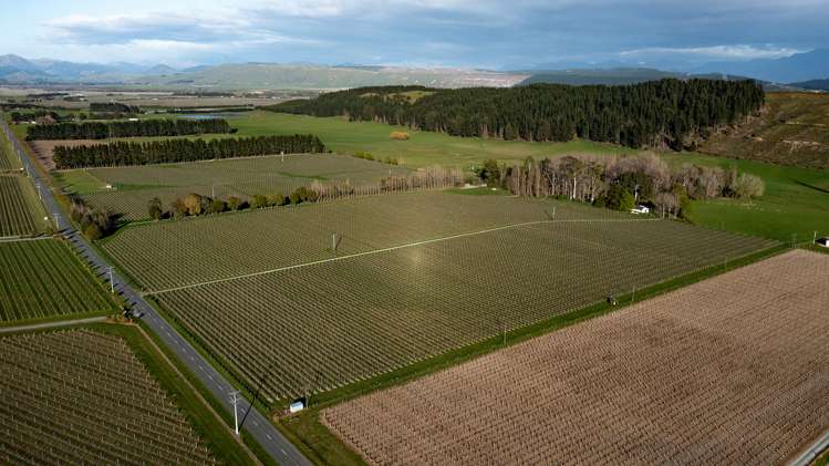 470 Waihopai Valley Road Waihopai Valley_4