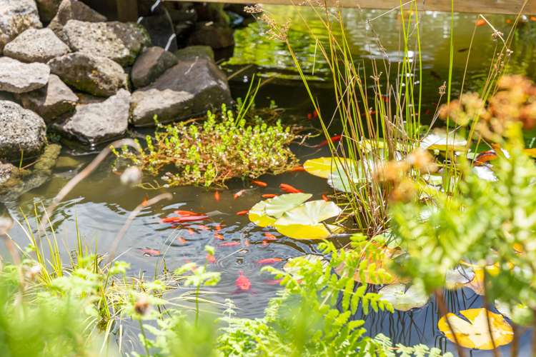 34 Muritai Road Parua Bay_11