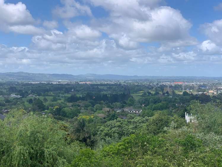 245d Hill Road The Gardens_23