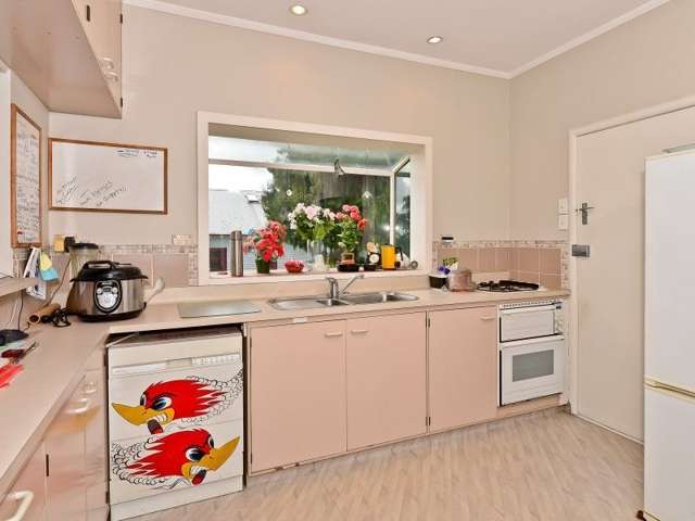 6 Dillicar Street Whitiora_4