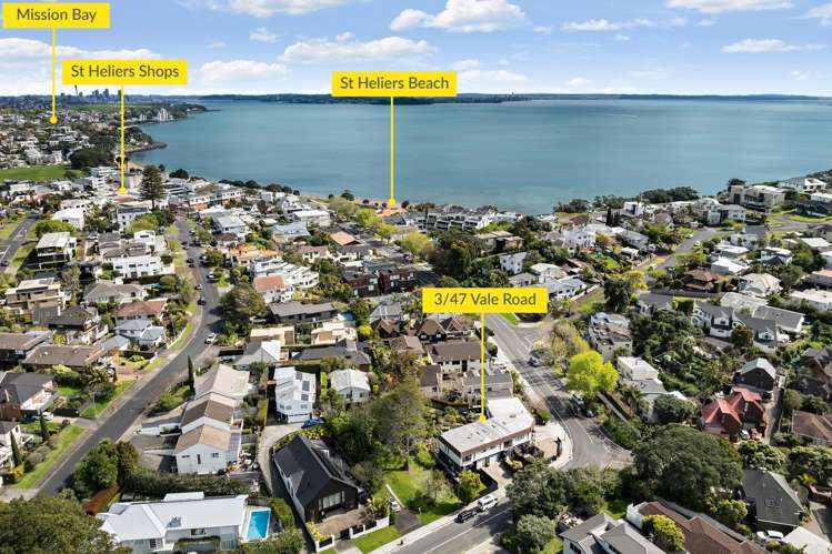 3/47 Vale Road St Heliers_28