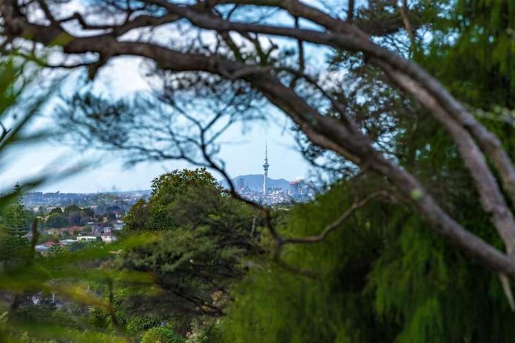 6 Stallard Place Glen Eden_14