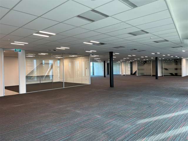 335 Lincoln Road Addington_2