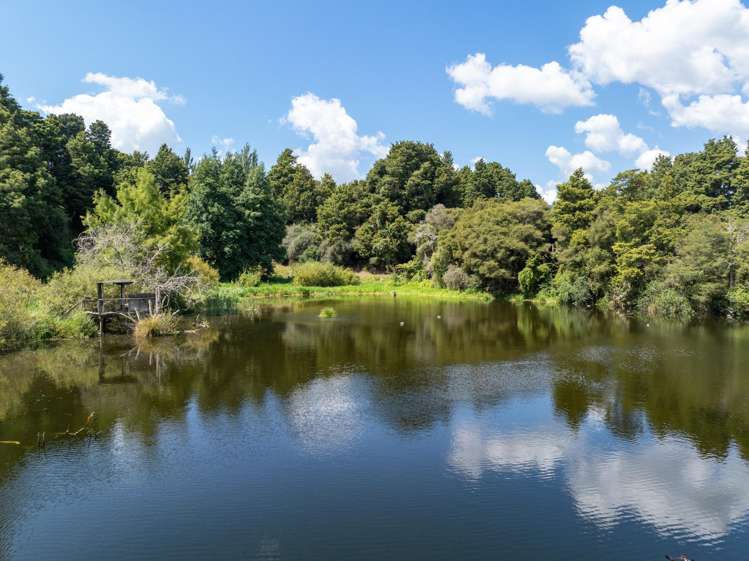 72 and 82 Harding Road Matamata_28