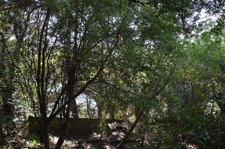 133 Wainui Main Road French Farm_6