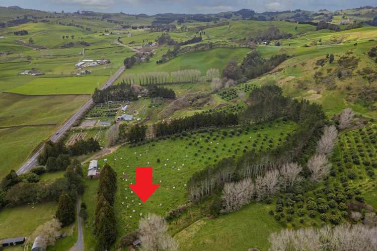 548b Waihi Whangamata Road_5