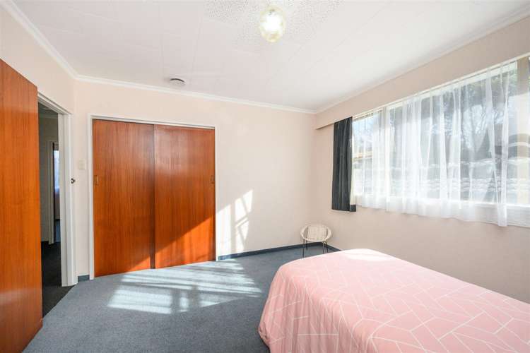 6 Flower Street Bulls_33