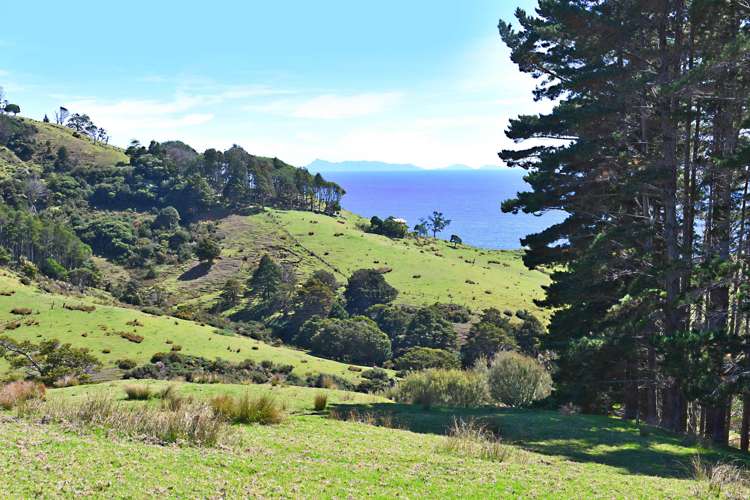 123 Goat Island Road Leigh_17