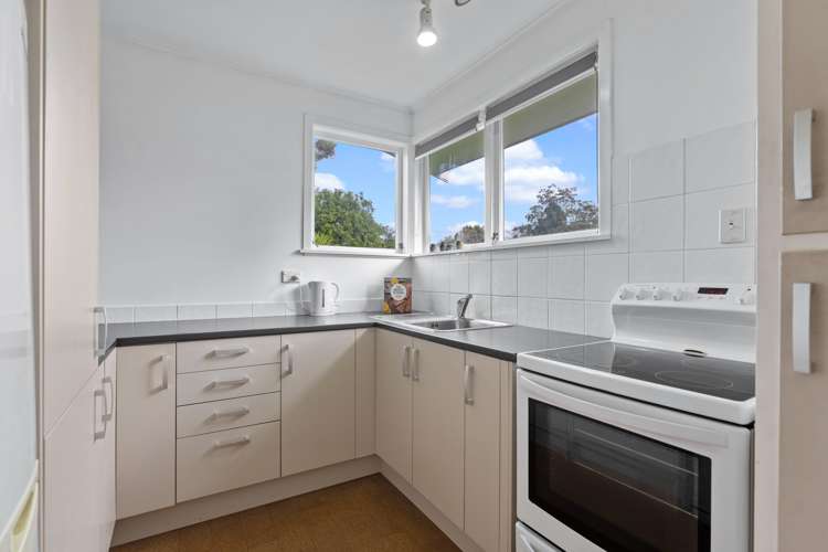 15a View Road Mount Eden_6