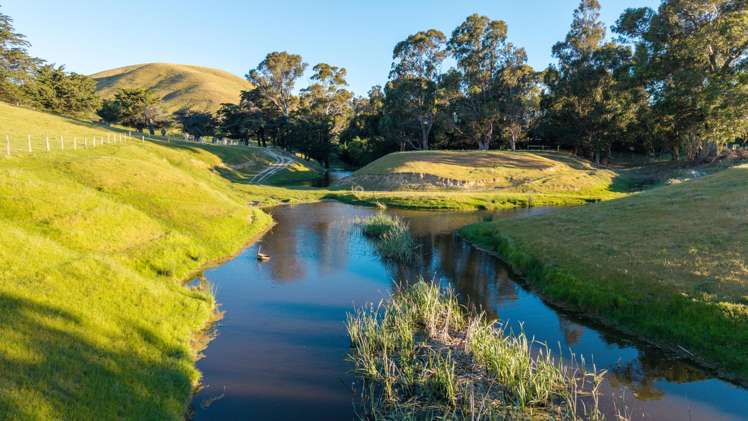 417 Tetley Brook Road Seddon_29