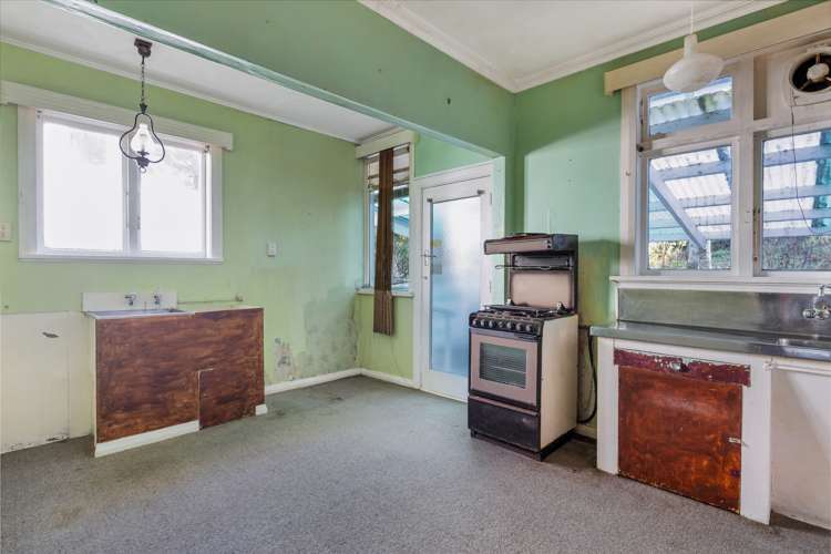 14 Mccoll Street Vogeltown_11