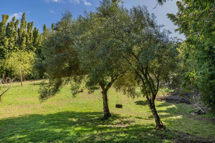 71 Wharau Road Kerikeri_11