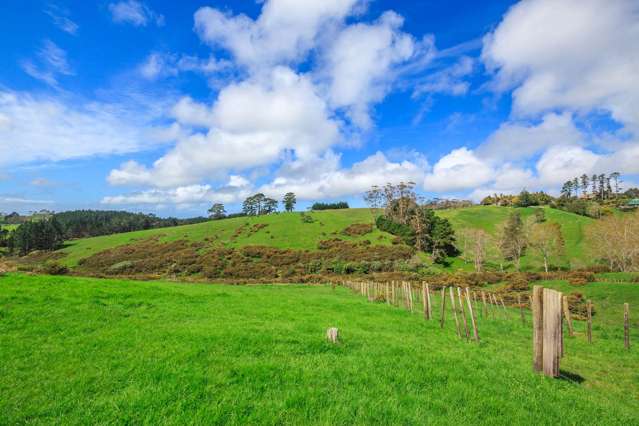 624 Dairy Flat Highway Dairy Flat_3