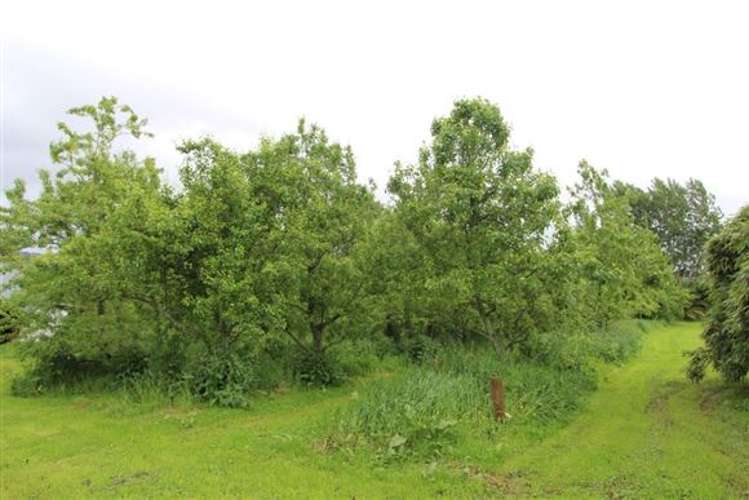 42 Waihou Road Levin_20