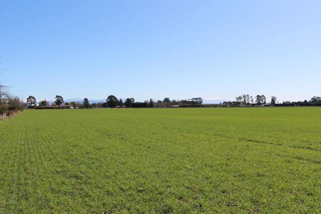 Crop, Stock or Lifestyle Opportunity - 21 Hectares