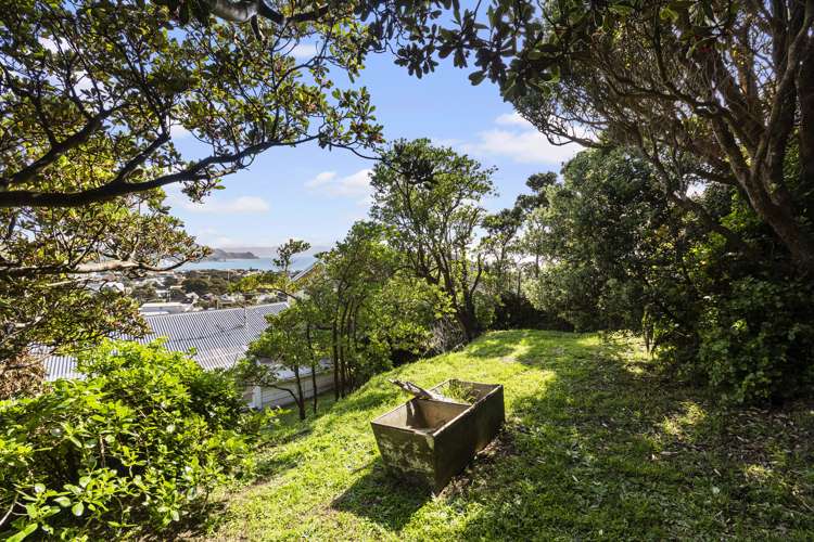 65 Mantell Street Seatoun_18