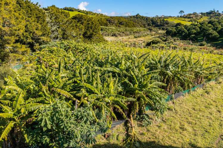 173 Prescott Road Ruakaka_9
