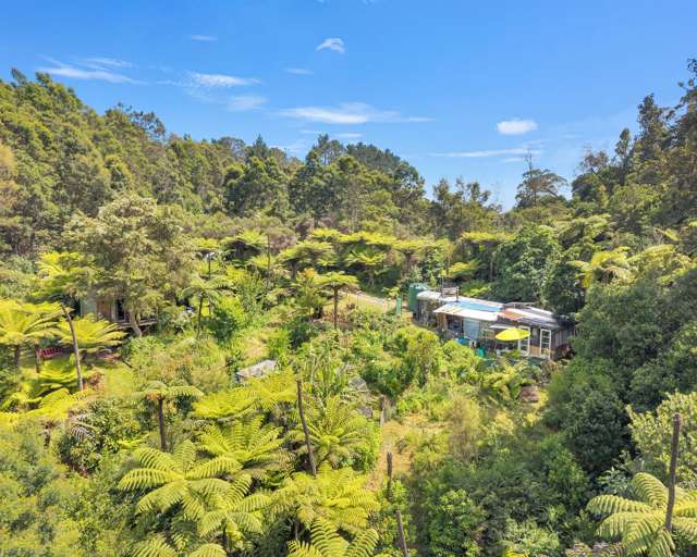 Ohiwa Loop Road Waiotahi_4