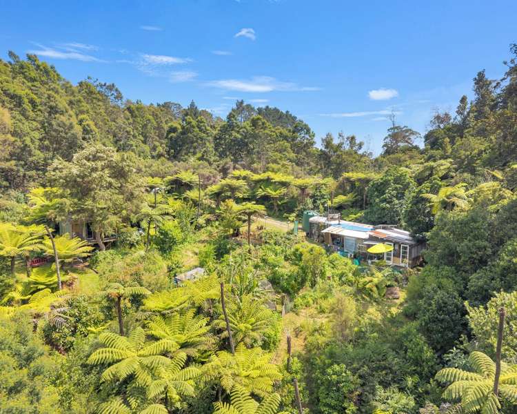 Ohiwa Loop Road Waiotahi_4