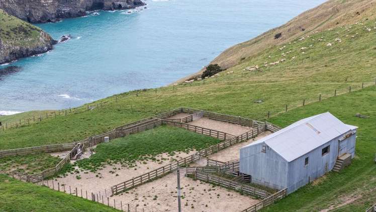 203 Paua Bay Road Akaroa_9