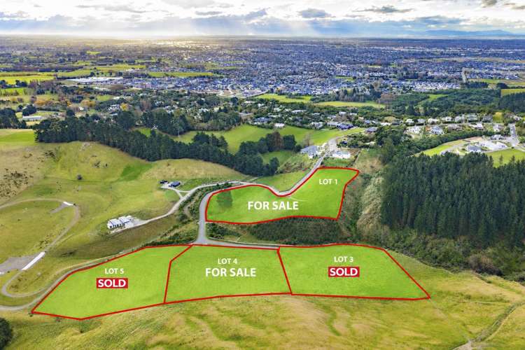 Lot 1, 10 Kapuka Lane_2