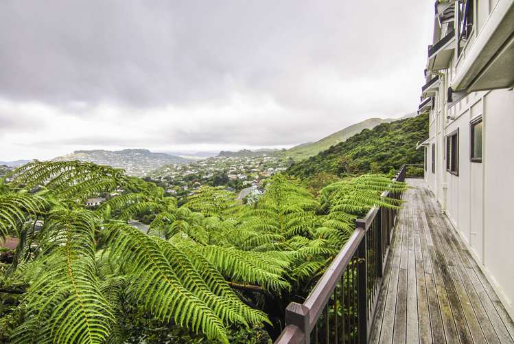 7 Ridvan Grove Ngaio_15